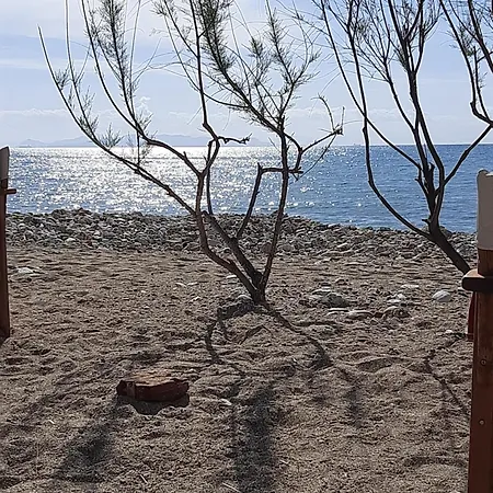 Matinas Garden House Near The Sea Athen